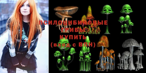 альфа пвп Армянск