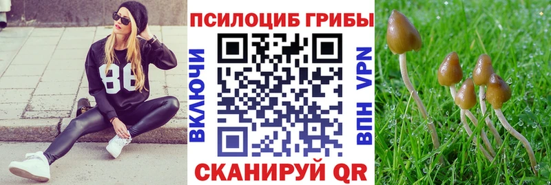 Псилоцибиновые грибы Magic Shrooms  Родники 